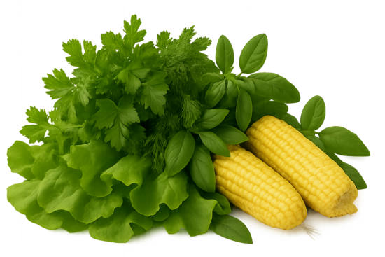 SALĀTI ZAĻUMI CUKURKUKURŪZA