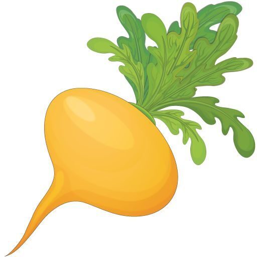 KĀĻI, RUTKI, RĀCEŅI,  ZIEMAS REDĪSI