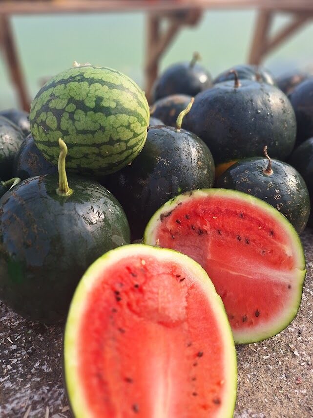 Arbūzi ''Sugar baby''