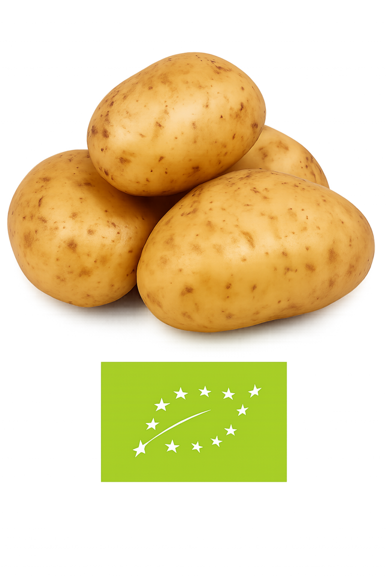 Kartupeļi ''Otolia''bio