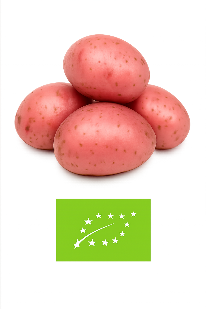 Kartupeļi ''Laura''bio
