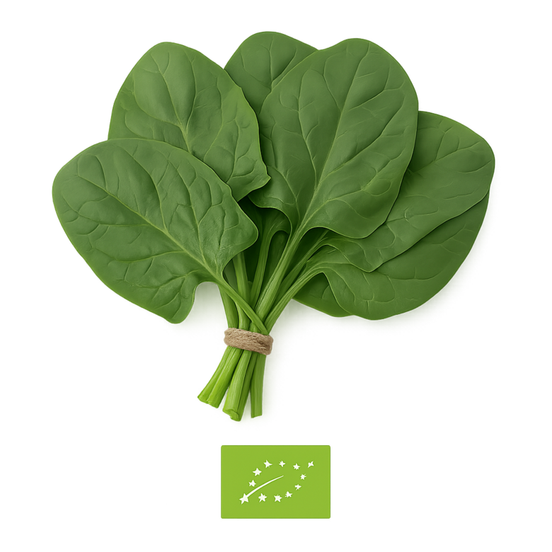 Spināti bio