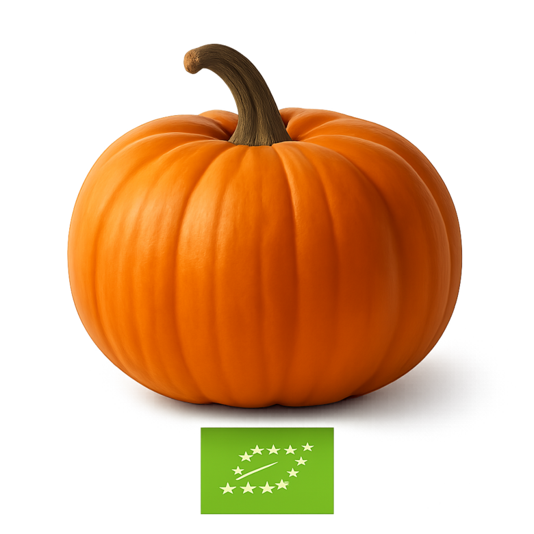 Liels,parasts ķirbis 1gb.