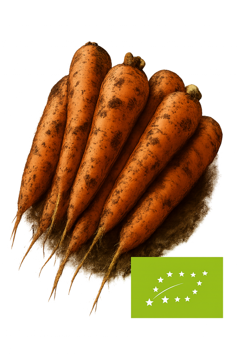 Burkāni ''Nante'' bio 