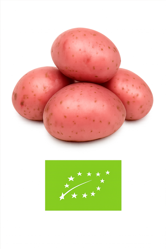 Kartupeļi ''Laura''bio