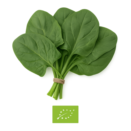 Spināti bio
