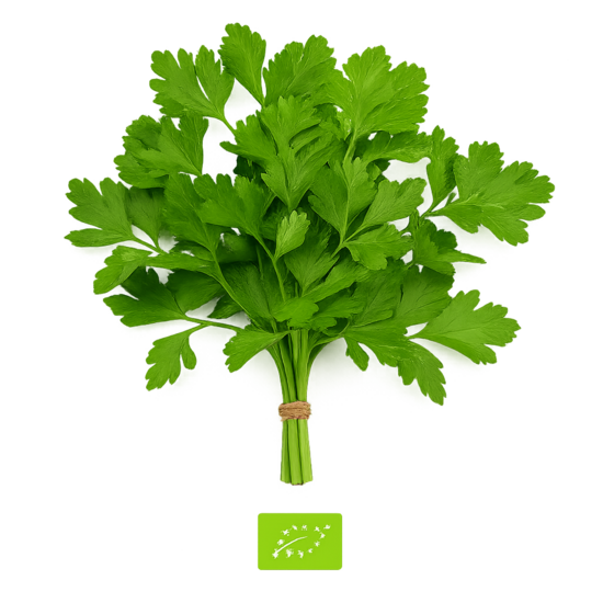 Pētersīļi lapu/bunte - bio