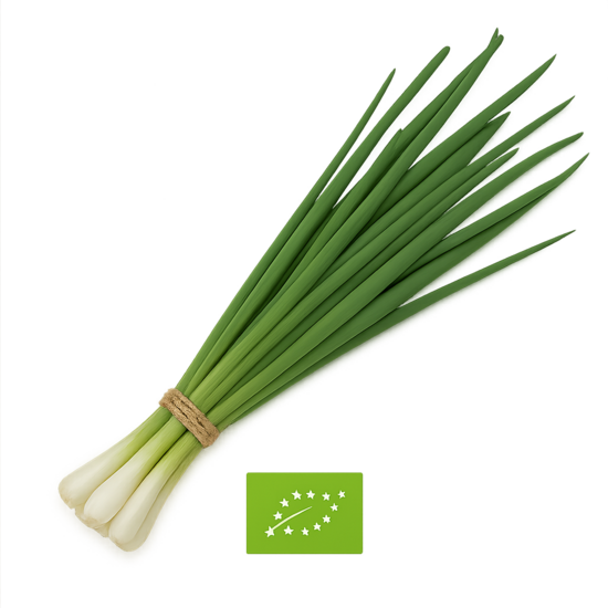 Sīpolloki/bunte bio