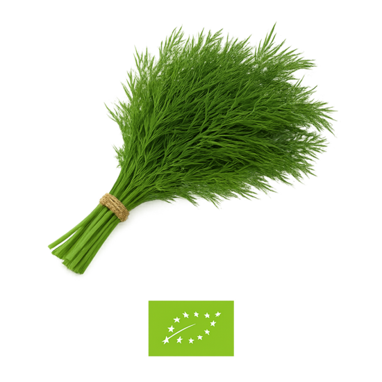 Dilles/ maza bunte-bio