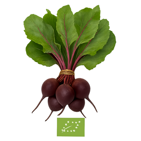 Mazo biešu buntes ar  lapām bio