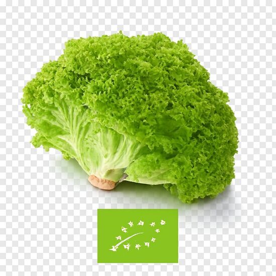 Salāti lapu ,zaļie-bio