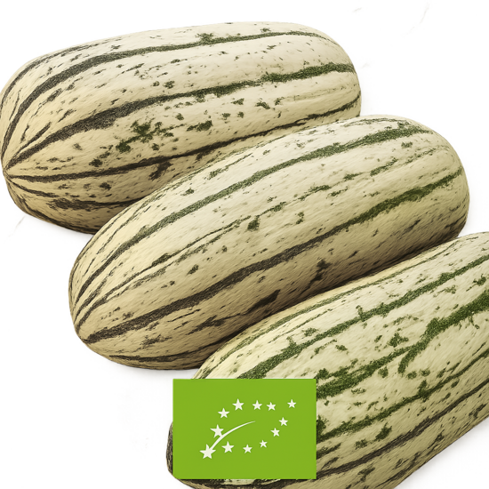 Ķirbis Delicata,bio/1gb