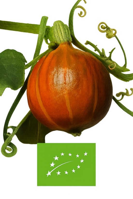  Ķirbji  Mazie ''UCHIKI KURI'' bio /1gb