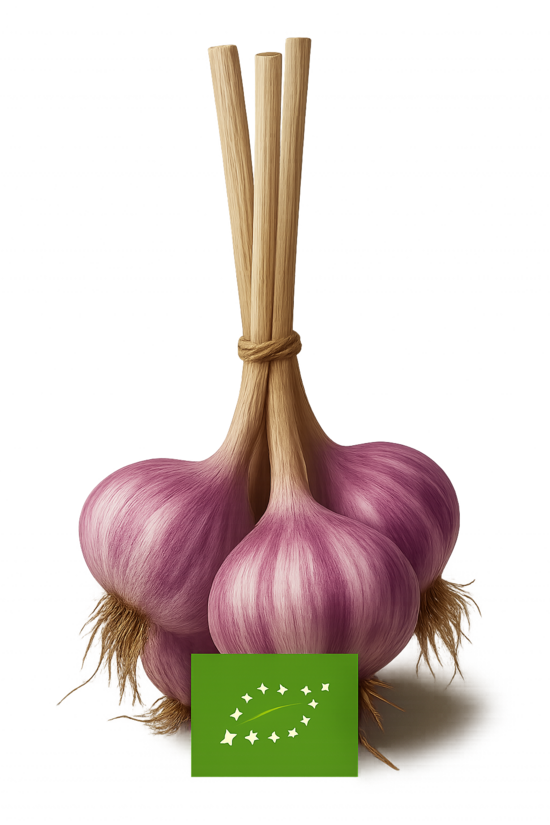 Ķiploku bunte 3gb. bio