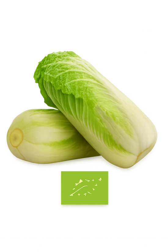 Ķinas jeb Pekinas kāposti bio