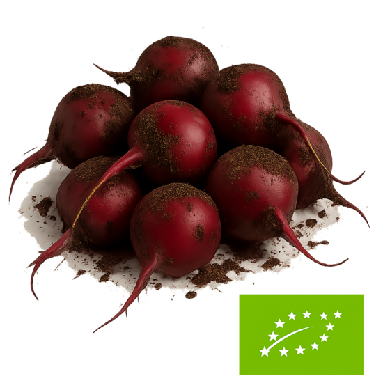 Sarkanās bietes bio