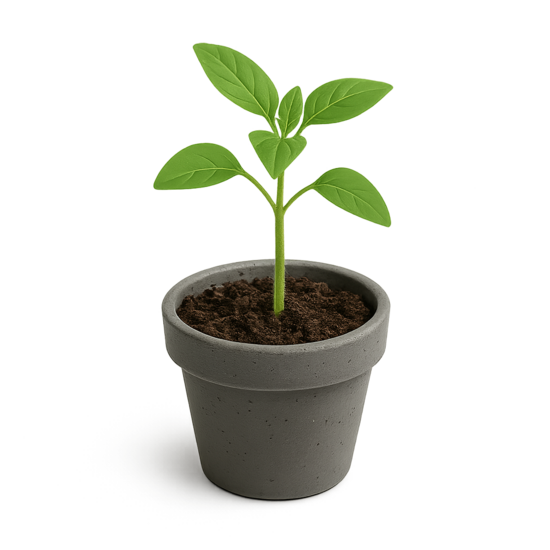 Komplekts tikai Lavandas 