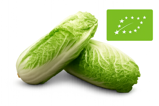 Ķinas jeb Pekinas kāposti bio