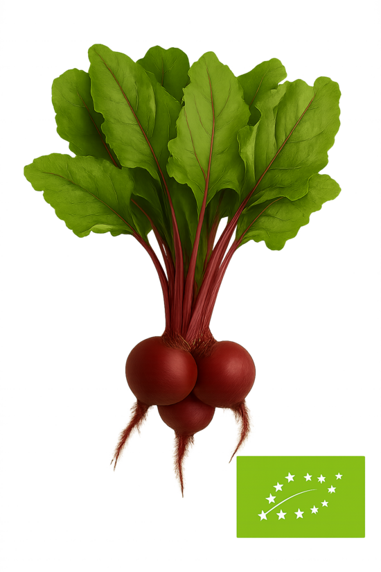 Jaunās biešu lapiņas ar bietēm, bunte-bio