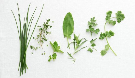 Citronmelisas bunte bio