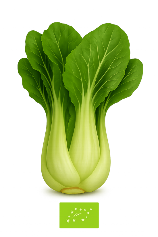 Pakčoi. Kāposti Āzijas-BIO