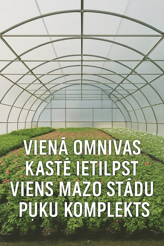 SŪTĪŠANAS NOTEIKUMI PUĶU KOMPLEKTIEM