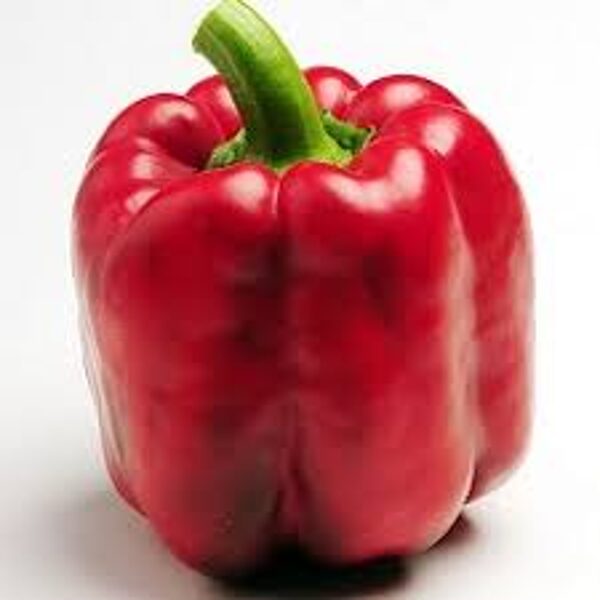 Paprika sarkanā-BIO, ''California Wonder''