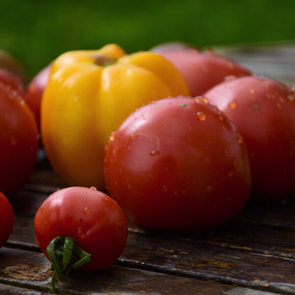 PAPRIKA, TOMĀTI UN GURĶI